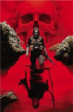 Load image into Gallery viewer, Brzrkr # 12 Jerome Opena Variant