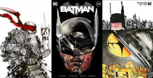 Load image into Gallery viewer, Teenage Mutant Ninja Turtles: The Last Ronin #4 David Choe Virgin Variant